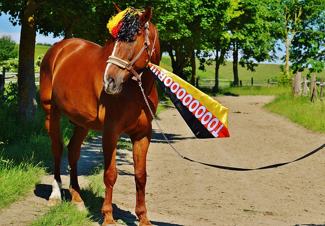 早期并不被 早期并不被