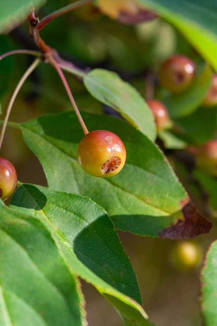 个国家响应 个国家响应